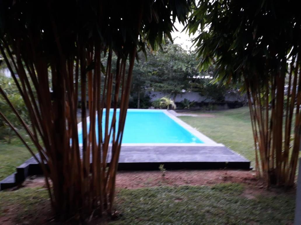Kithula Boutique Hotel Хикадува Екстериор снимка